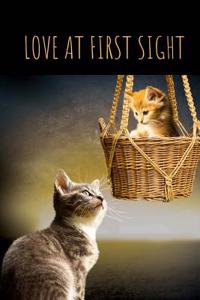 Love at First Sight