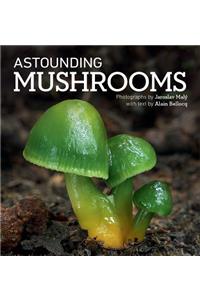 Astounding Mushrooms