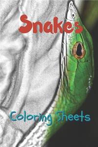 Snake Coloring Sheets