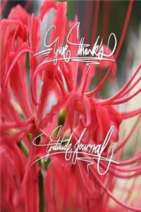 Give thanks - Gratitude Journal