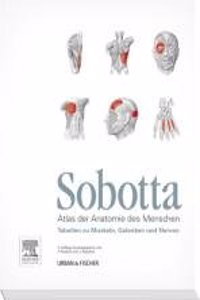 Sobotta Tabellen zu Muskeln Gelenken und