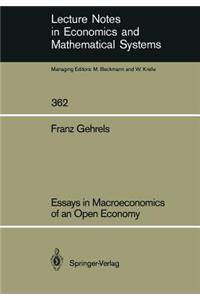 Essays in Macroeconomics of an Open Economy