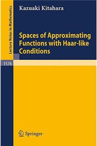 Spaces of Approximating Functions with Haar-Like Conditions