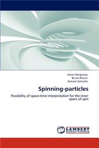 Spinning particles