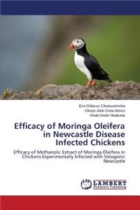 Efficacy of Moringa Oleifera in Newcastle Disease Infected Chickens
