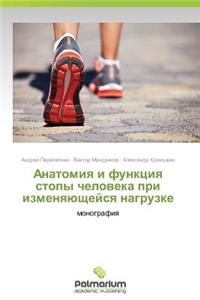 Anatomiya I Funktsiya Stopy Cheloveka Pri Izmenyayushcheysya Nagruzke