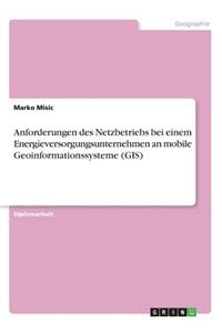 Anforderungen des Netzbetriebs bei einem Energieversorgungsunternehmen an mobile Geoinformationssysteme (GIS)