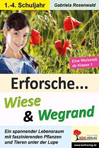 Erforsche ... Wiese & Wegrand: Pflanzen und Tiere unter der Lupe