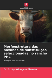 Morfoestrutura das novilhas de substituição seleccionadas no rancho PHL