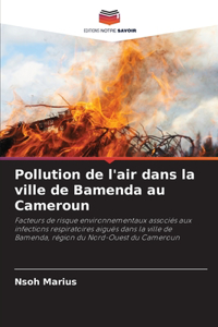 Pollution de l'air dans la ville de Bamenda au Cameroun