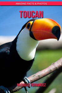 Toucan