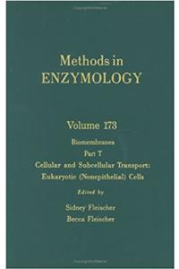 Biomembranes, Part T: Cellular and Subcellular Transport: Eukaryotic (Nonepithelial) Cells: 173 (Methods in Enzymology)