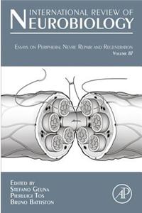 Essays on Peripheral Nerve Repair and Regeneration