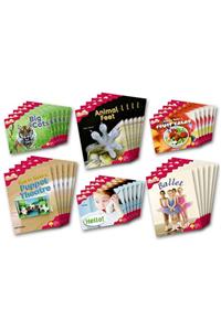 Oxford Reading Tree: Level 4: More Fireflies A: Class Pack (36 books, 6 of each title)
