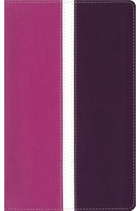 Amplified Holy Bible, Leathersoft, Pink/Purple, Indexed