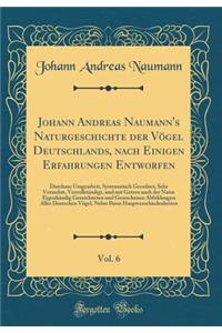 Johann Andreas Naumann's Naturgeschichte Der Vï¿½gel Deutschlands, Nach Einigen Erfahrungen Entworfen, Vol. 6: Durchaus Umgearbeit, Systematisch Geordnet, Sehr Vermehrt, Vervollstï¿½ndigt, Und Mit Getreu Nach Der Natur Eigenhï¿½ndig Gezeichneten Un