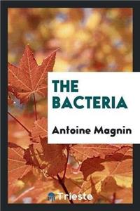 The Bacteria