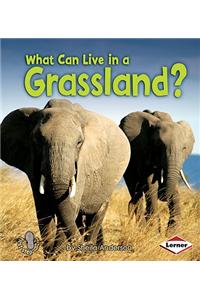 What Can Live in a Grassland?