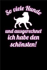 So viele Hunde und ausgerechnet ich habe den schönsten!: Notizbuch A5 120 Seiten mit Punkten in Weiß für Hundebesitzer und Hundeliebhaber.