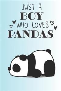 Just A Boy Who Loves Pandas