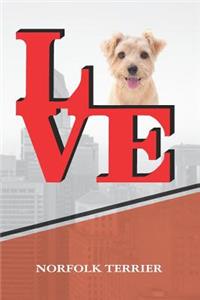 Norfolk Terrier