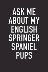 Ask Me about My English Springer Spaniel Pups