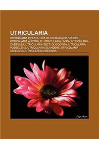 Utricularia: Utricularia Inflata, List of Utricularia Species, Utricularia Australis, Utricularia Livida, Utricularia Caerulea