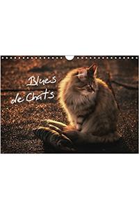 Blues De Chats 2017