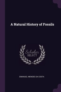 Natural History of Fossils