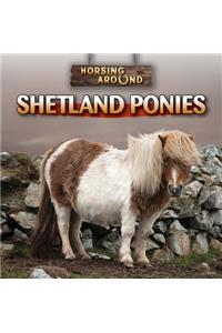 Shetland Ponies