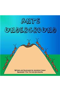 Ants Underground