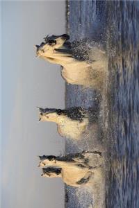 White Horses Running in the Surf Journal