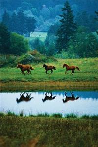 Horse Reflections Any Day Planner Notebook