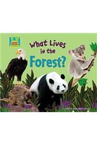 What Lives in the Forest?