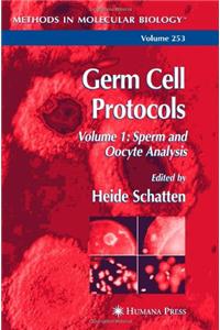 Germ Cell Protocols