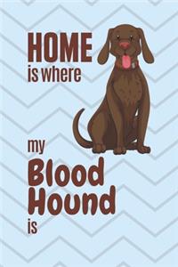 Home is where my Blood Hound is