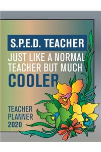 S.P.E.D Teacher, Just Like A Normal Teacher But More Cooler