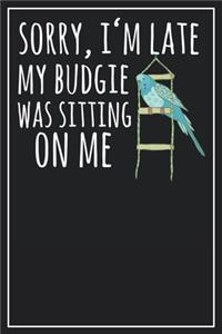 Sorry, I'm late My Budgie was sitting on me