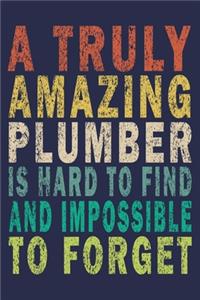 A Truly Amazing Plumber Is Hard To Find And Impossible To Forget