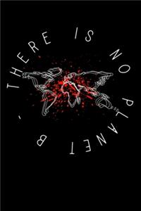 There is no Planet B