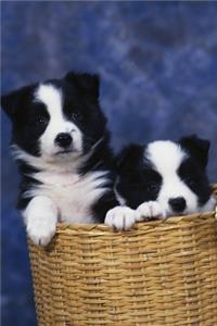 2020 Weekly Planner Two Puppies Basket Dog Photo 134 Pages