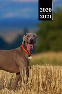 Great Dane Dog Calendar Week Planner 2020 / 2021 - Cornfield