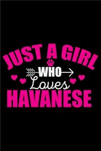 Just A Girl Who Loves Havanese