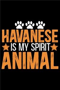 Havanese Is My Spirit Animal