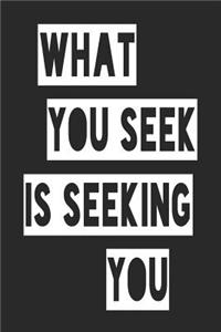 What You Seek Is Seeking You