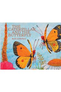 Caterpillar and the Butterfly