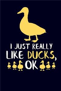 I Just Really Like Ducks, Ok