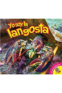 Langosta