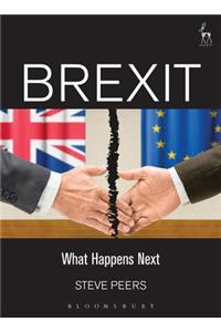 Brexit: What Happens Next