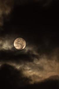 Full Moon on a Cloudy Night Journal